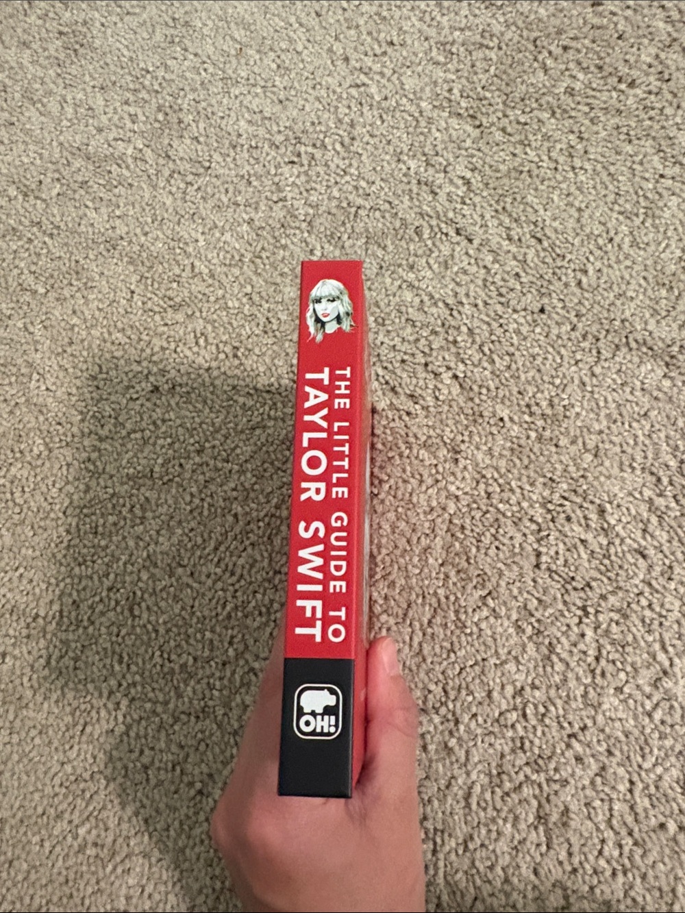 The Little Guide to Taylor Swift - Quote book, coffee table book - Picture 3 of 6